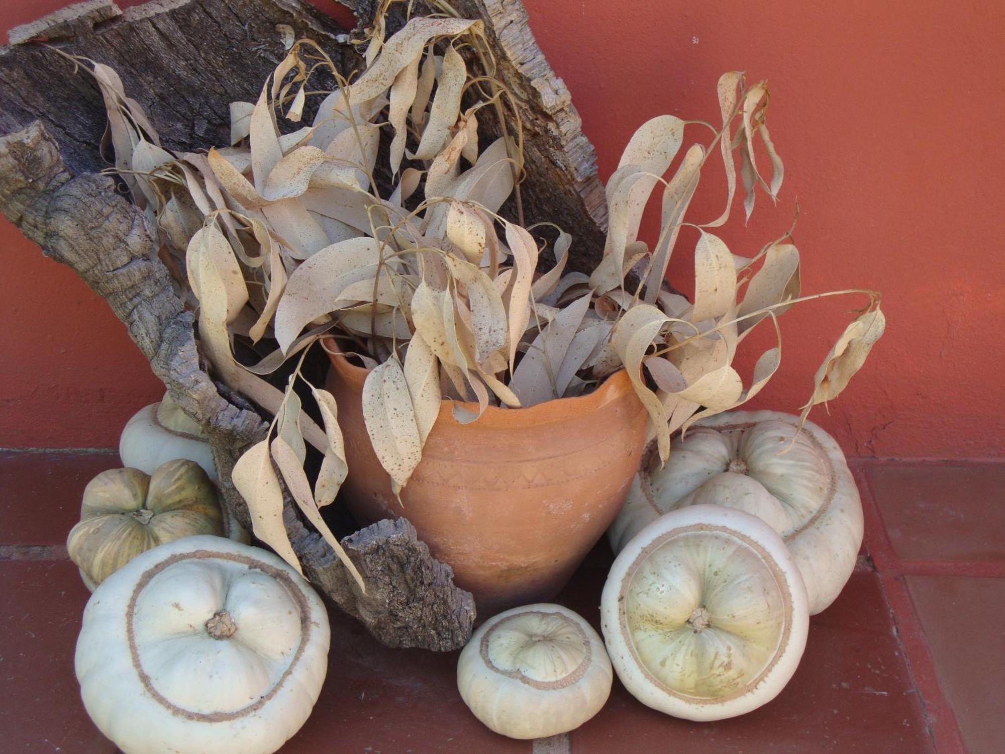 Verdemar Cercal do Alentejo Ngoại thất bức ảnh