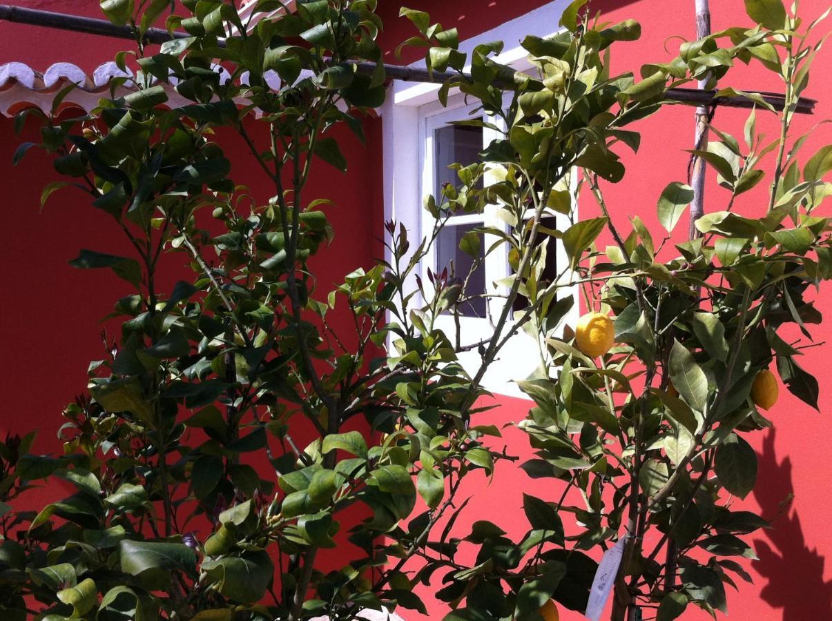 Verdemar Cercal do Alentejo Ngoại thất bức ảnh